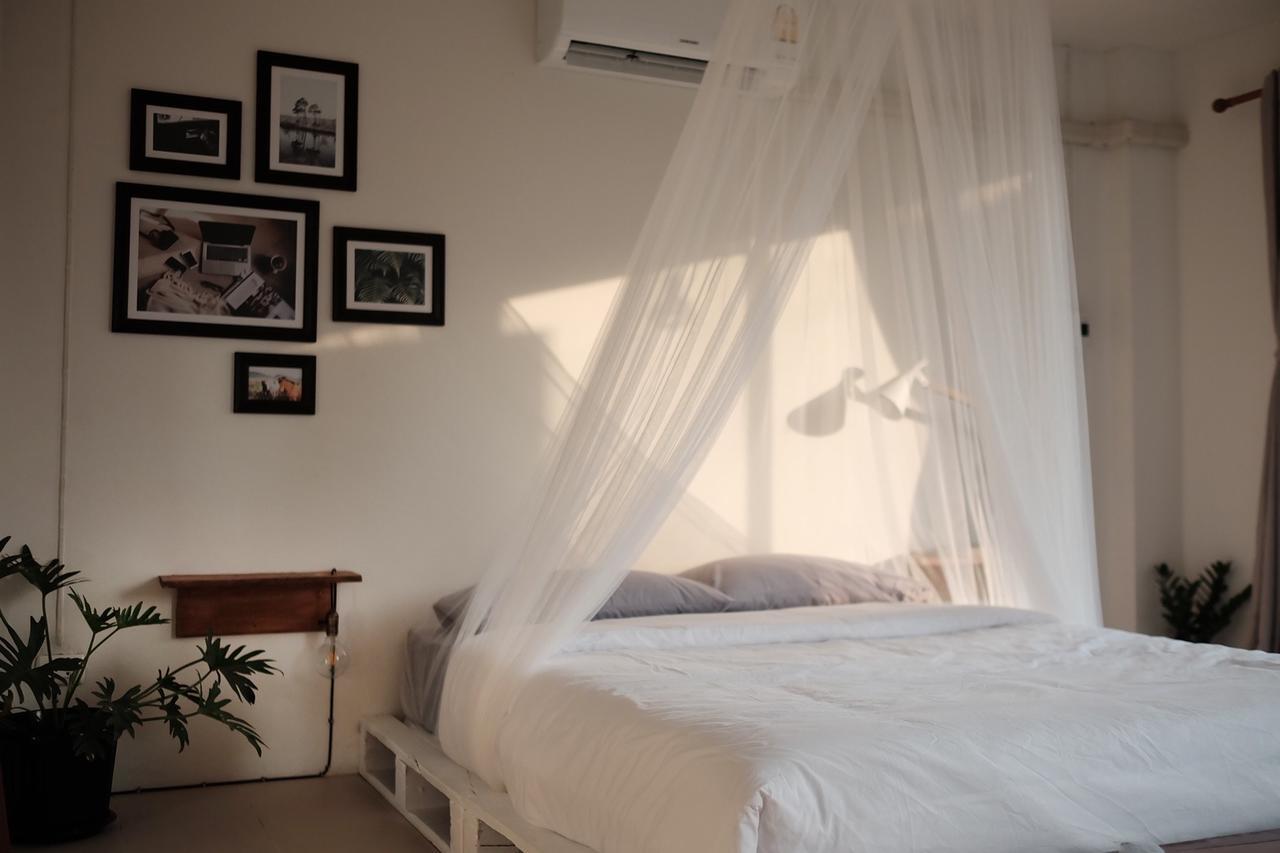 치앙마이 Mountscene At Cervidae B&B 외부 사진